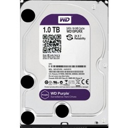 WD10PURZ