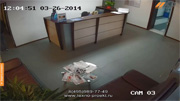 Справочная информация